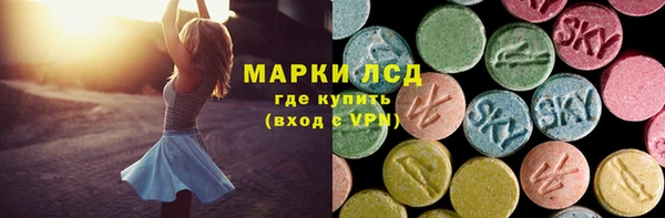 СК Елизово