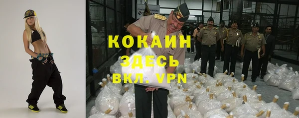 СК Елизово