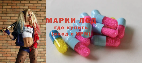 ECSTASY Ельня