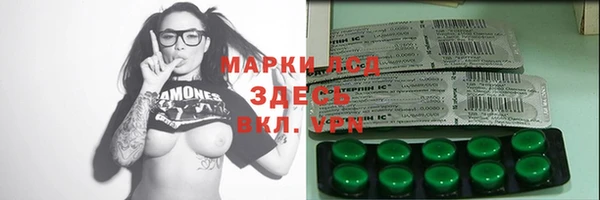 СК Елизово