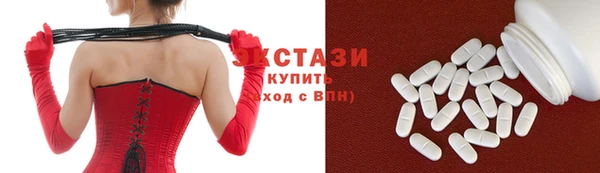 ECSTASY Ельня