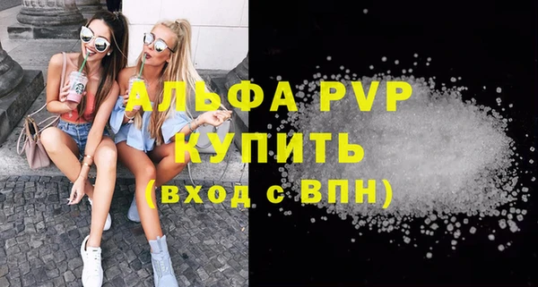 СК Елизово