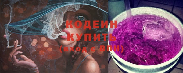 ECSTASY Ельня