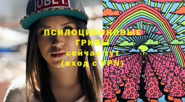 СК Елизово