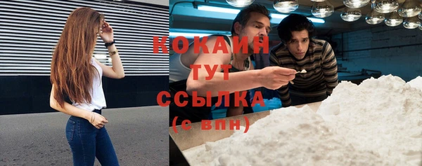 ECSTASY Ельня