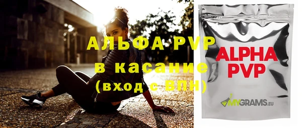 СК Елизово