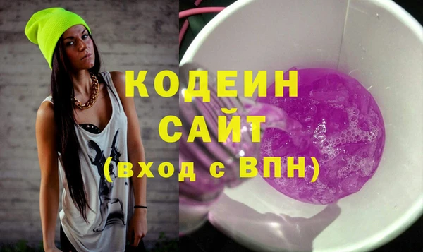 СК Елизово
