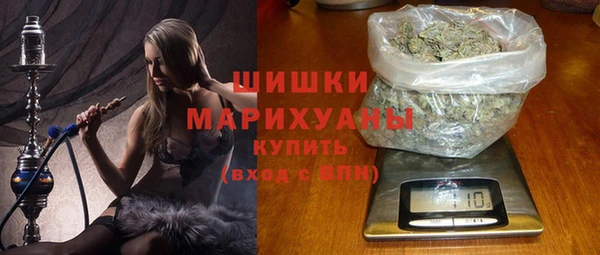 ECSTASY Ельня