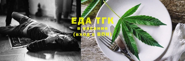 ECSTASY Ельня