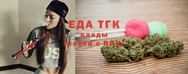 СК Елизово