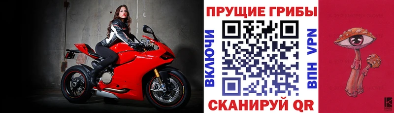 Купить закладки  Иннополис  Галлюциногенные грибы Psilocybine cubensis 