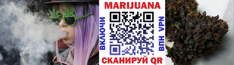Купить где  Иннополис  Марихуана сатива 